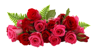 PNG Images