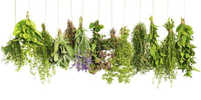 Tips & Recipes for Leftover Fresh Herbs