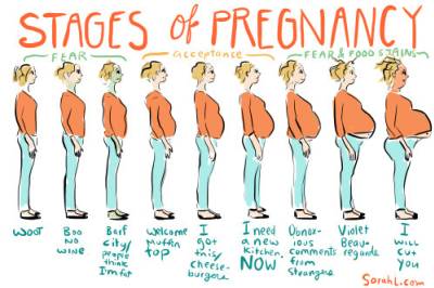Pregnancy Week by Week List