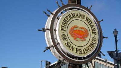 Savoring San Francisco: Must-Try Dishes from Local Favorites