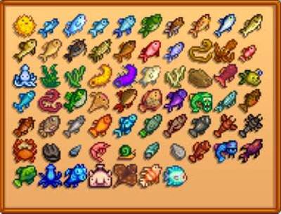 Stardew Valley Fish Collection