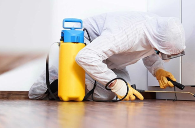Pest Control Gold Coast