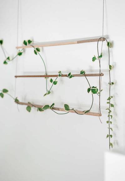 DIY With Indoor Plants