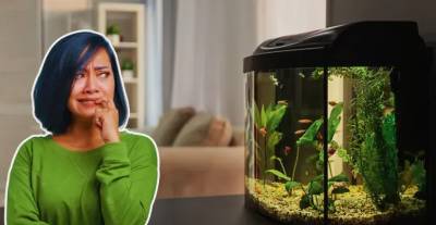 5 Aquarium Mistakes To Avoid