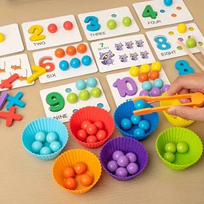 The Essential Collection of Montessori Playthings