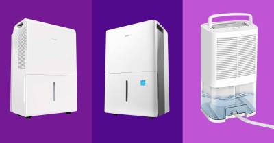 The Best Dehumidifier For Garage