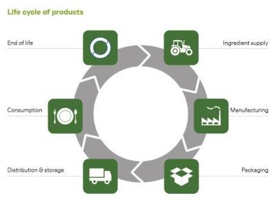 12 Product Lifecycle Milestone
