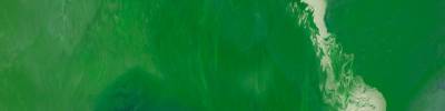 Company Formation & Business Consulting in Estonia