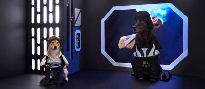 Best Star Wars Dog Costumes