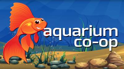 Top 10 Aquarium Fish for Beginners (Demo List)