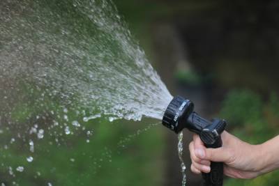 5 Tips to Make Your Garden More Water-Efficient