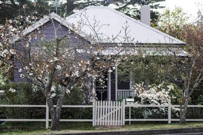 Expert Tips to Refresh your Yard for Spring