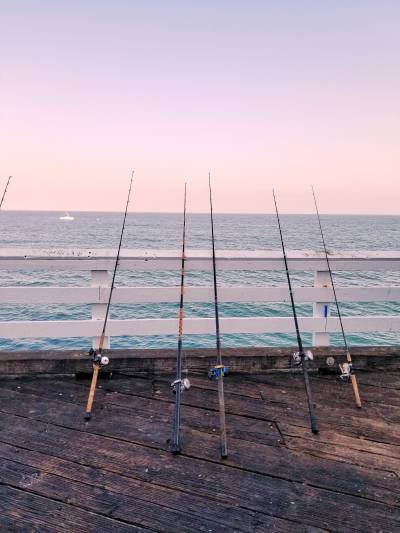 Best ultra light fishing rods