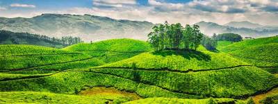 Ooty Kodaikanal Tour Packages