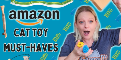 Best Cat Toys- Amazon Favorites - TikTok Amazon Finds