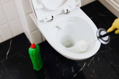 Best drain cleaner for clogged toilet