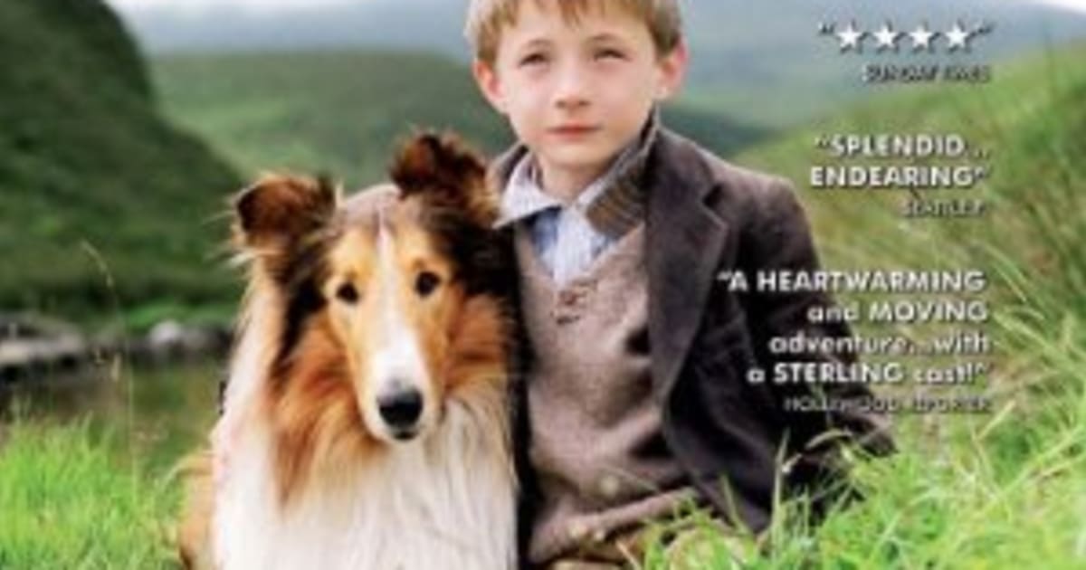 IS LASSIE ON NETFLIX visual data 4