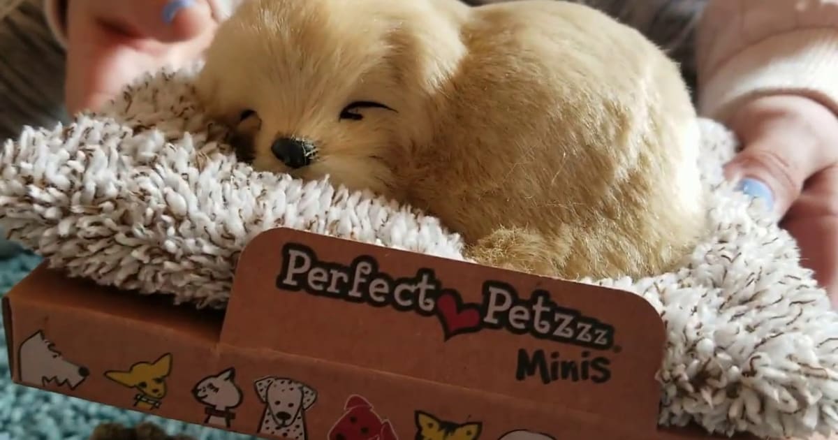 The Cutest Perfect Petzzz Dogs by thePetLover