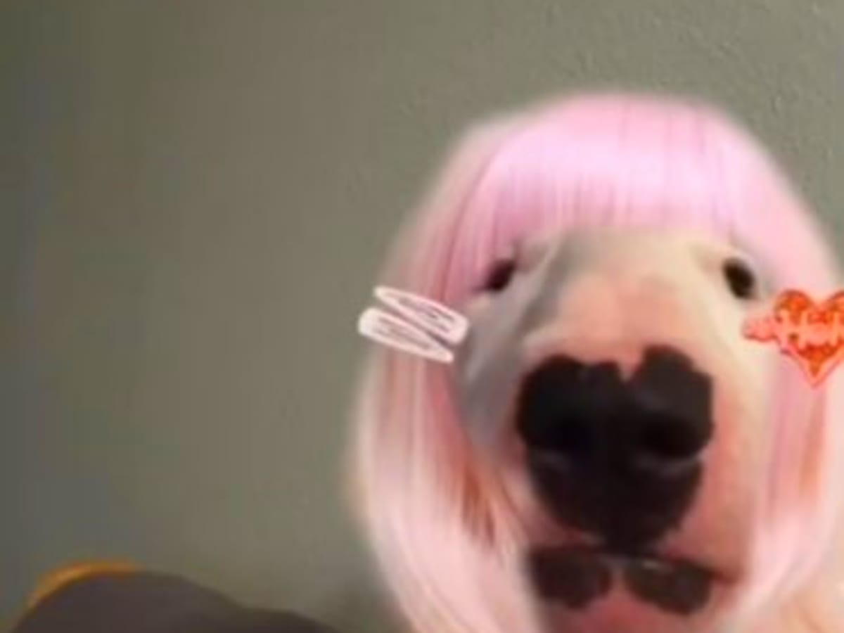 stardew valley community center by @ewillawin