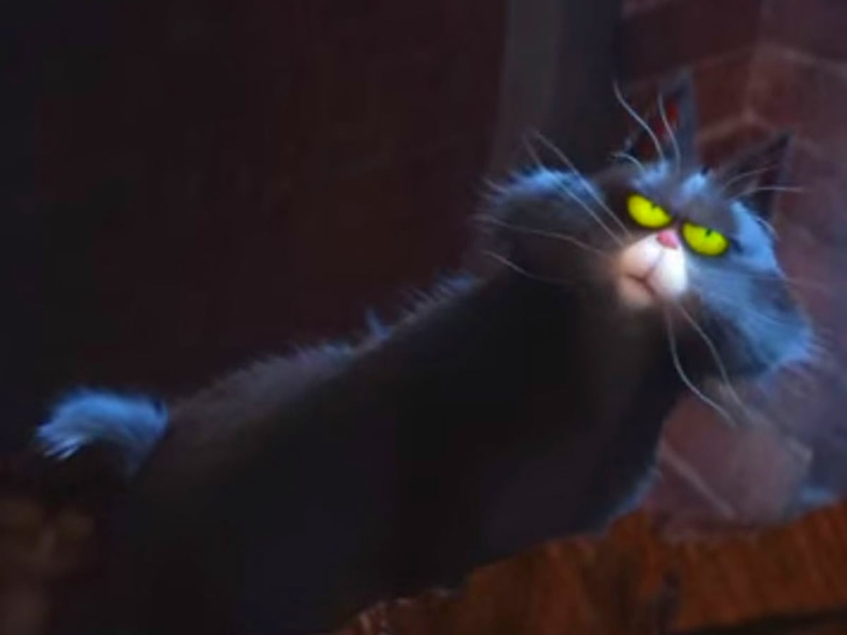 Nitro | The Complete List of Secret Life of Pets Characters