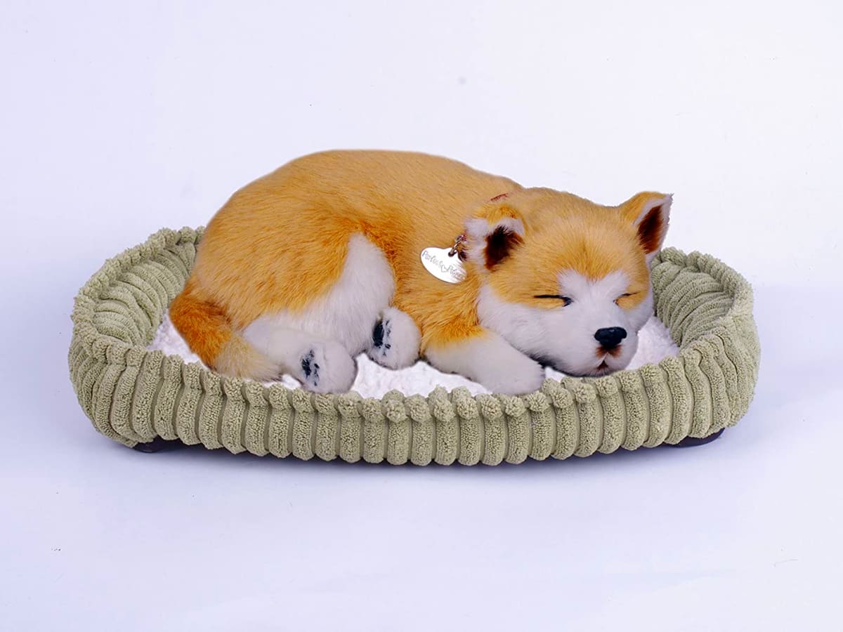 Perfect petzzz chihuahua clearance