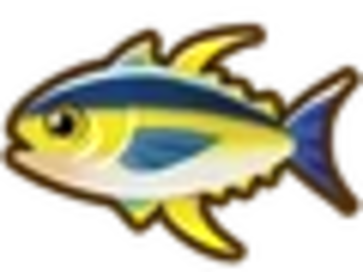Yellowfin Tuna Coral Island Fishing Guide