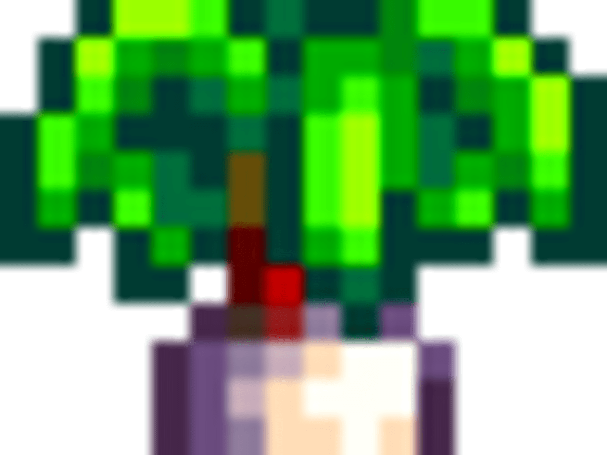 Leek Stardew Valley Checklist