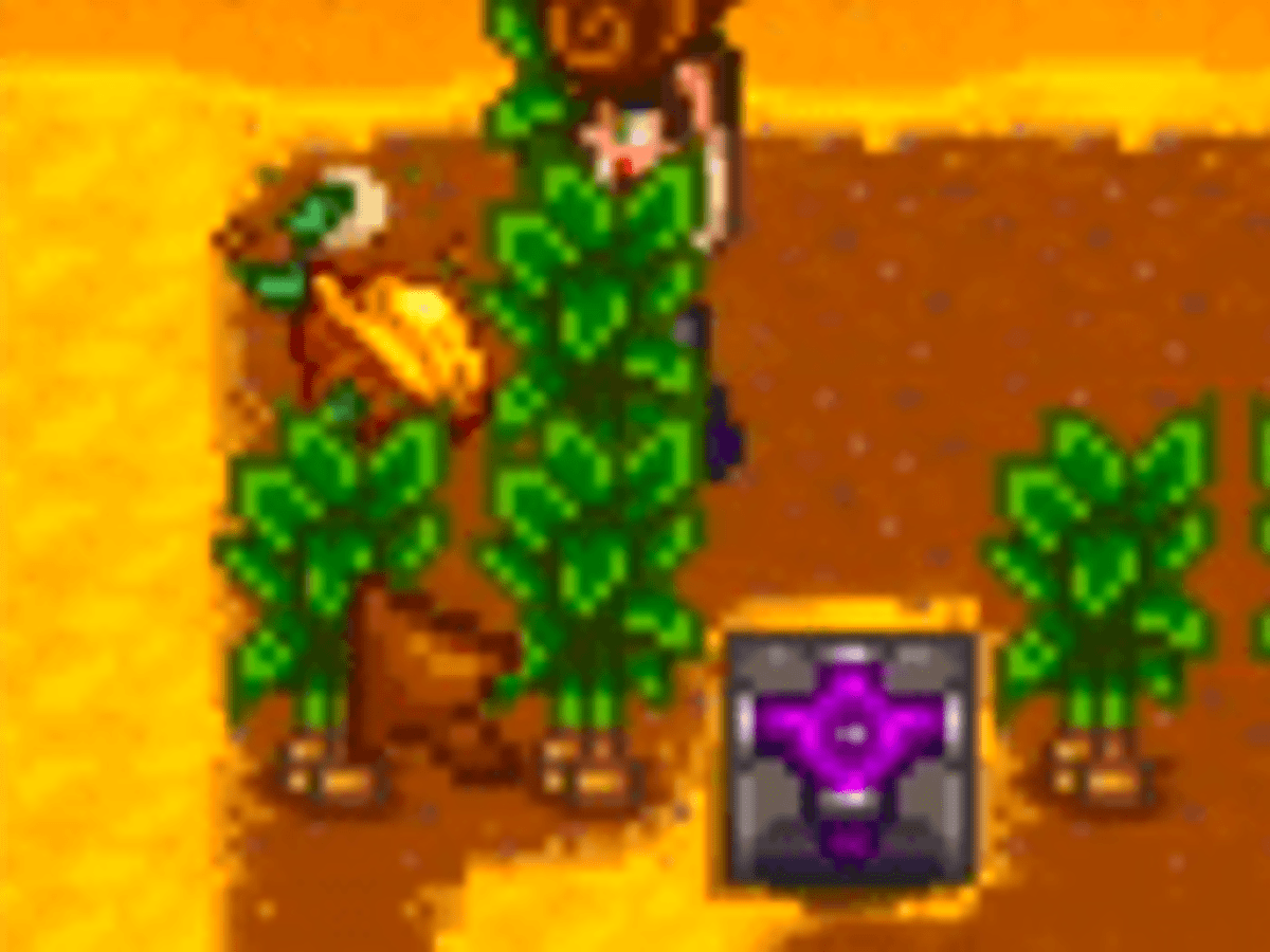 Harvesting Stardew valley Golden Walnuts