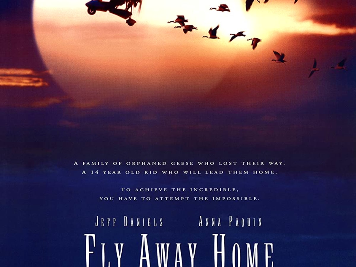 Fly Away Home | The Ultimate Sleepover Movies for Teenage Girls (50 ...