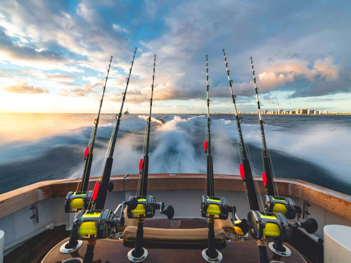 Best bass fishing rods by @Fishing_Diary - Listium