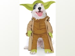 Yoda with Plush Arms Pet Costume