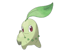 Chikorita