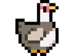 Muscovy