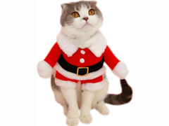Pet Christmas Santa Claus Suit