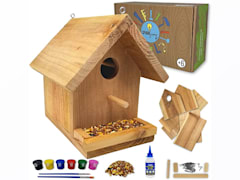 Jr Birdhouse Kit with Paint Set