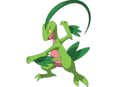 Grovyle