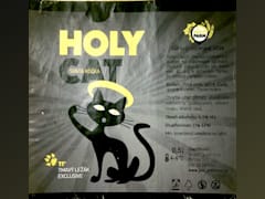 Holy Farm Holy Cat