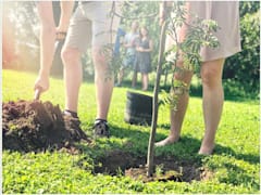 Participate in a tree planting project and help make Sydney greener.