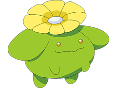 Skiploom