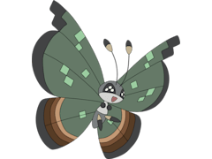 Vivillon Jungle Pattern