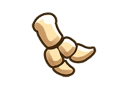 Tryannosaurus Arm