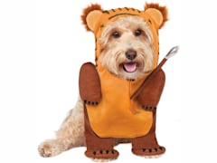 Running Ewok Pet Costume
