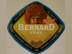 Bernard Fest