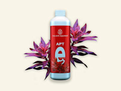 APT e