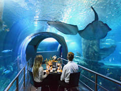 Visit the Melbourne Aquarium