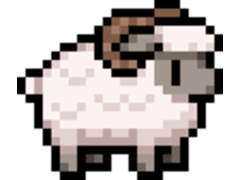 Black-Nosed