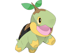 Turtwig