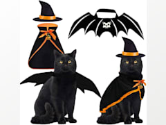 Halloween Cat Costume Bat Wings