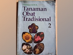 TANAMAN OBAT TRADISIONAL 2