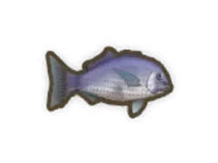 Where To Catch - Blob Fish - Dinkum 